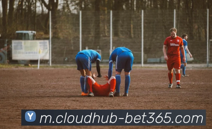 bet365平台生态图